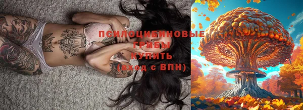МДПВ Алексин