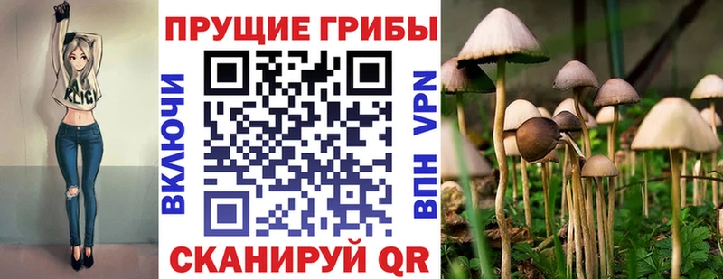 Псилоцибиновые грибы мицелий  Купить  Морозовск 