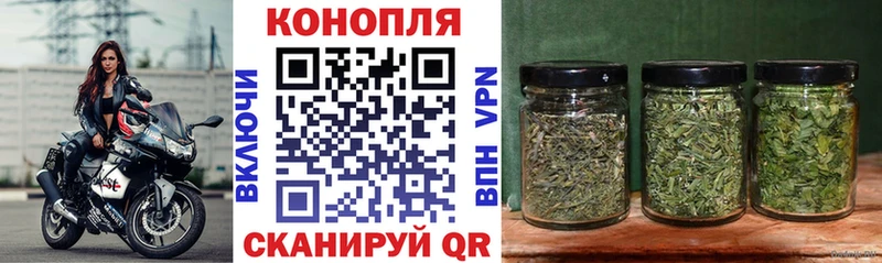 Марихуана сатива Морозовск